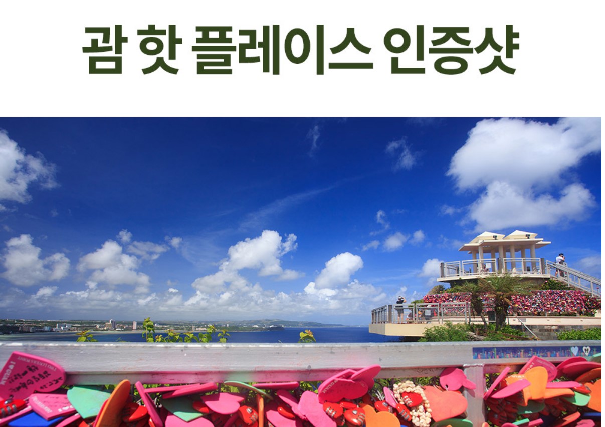 카멜리 이미지