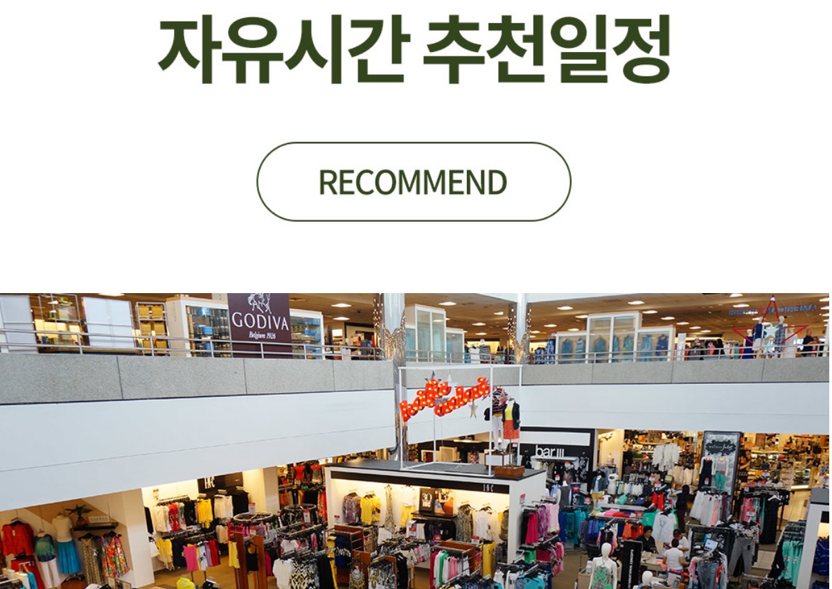 카멜리 이미지