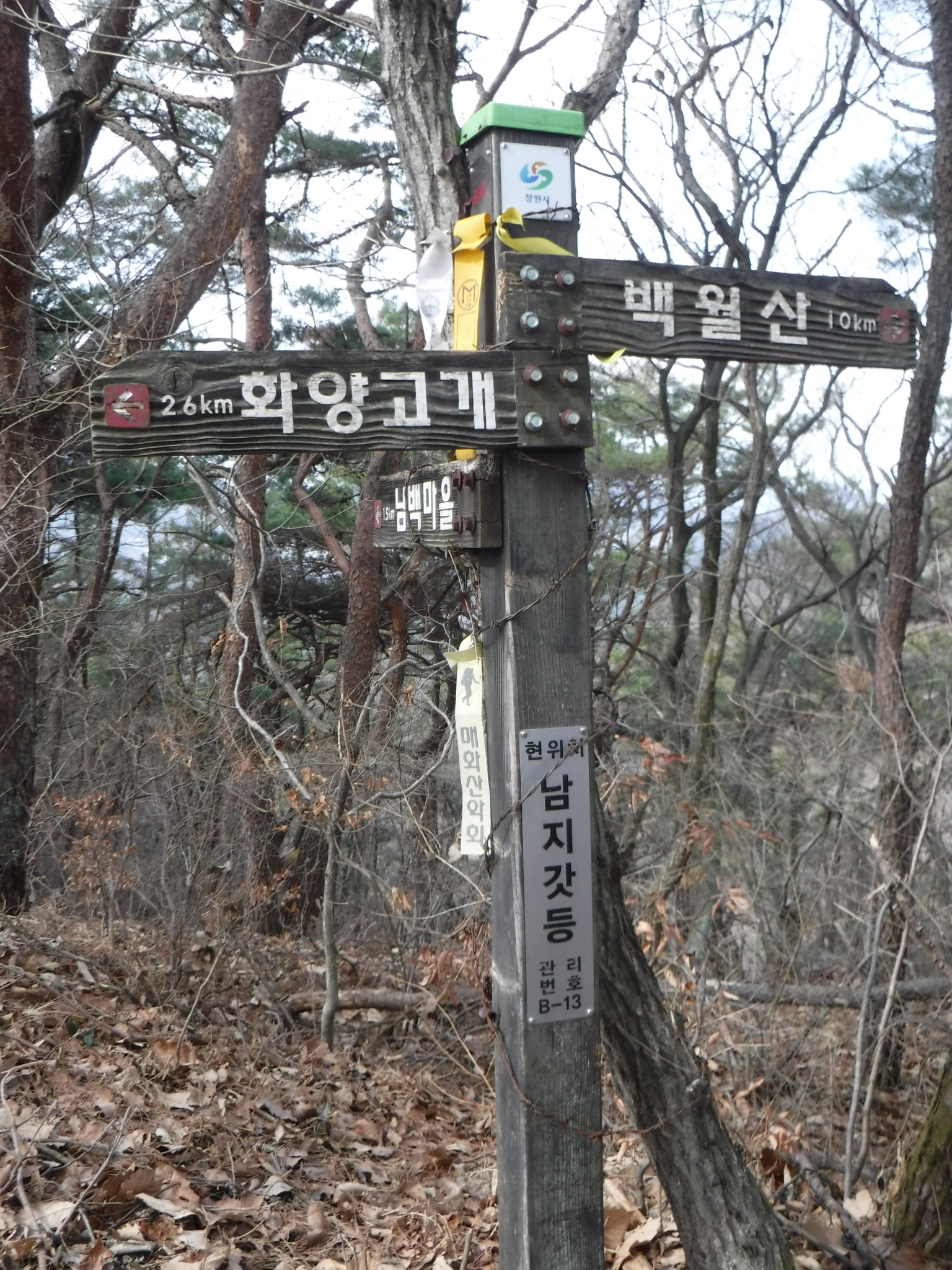 북면사무소 이미지