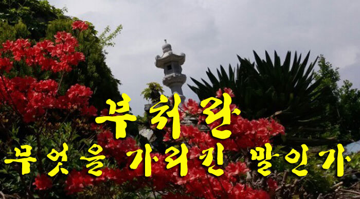 혜안 이미지
