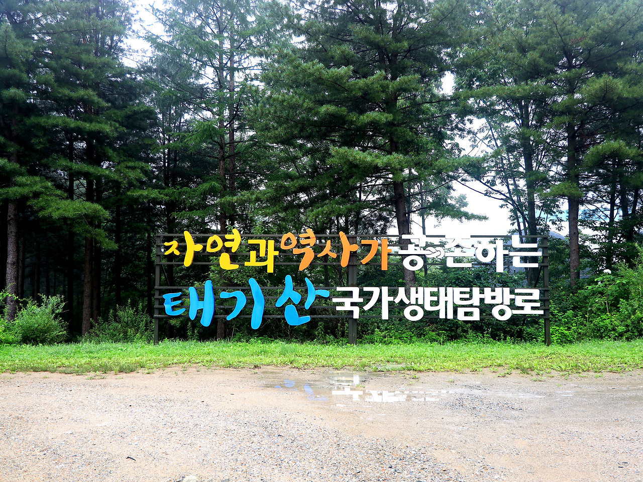 태기산 이미지