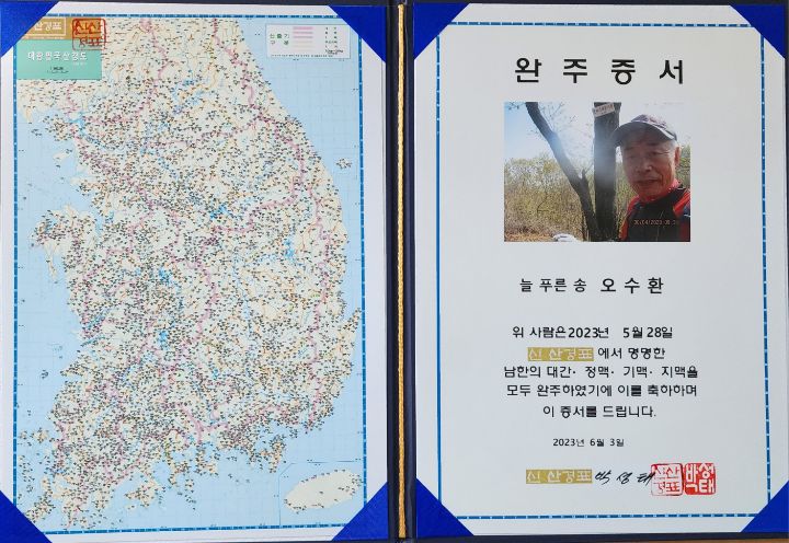 푸른송 이미지