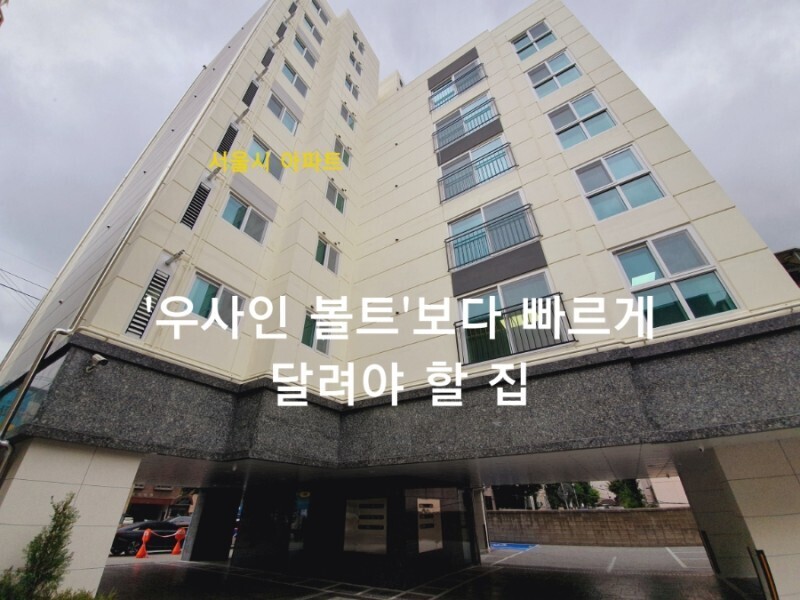 Daum카페