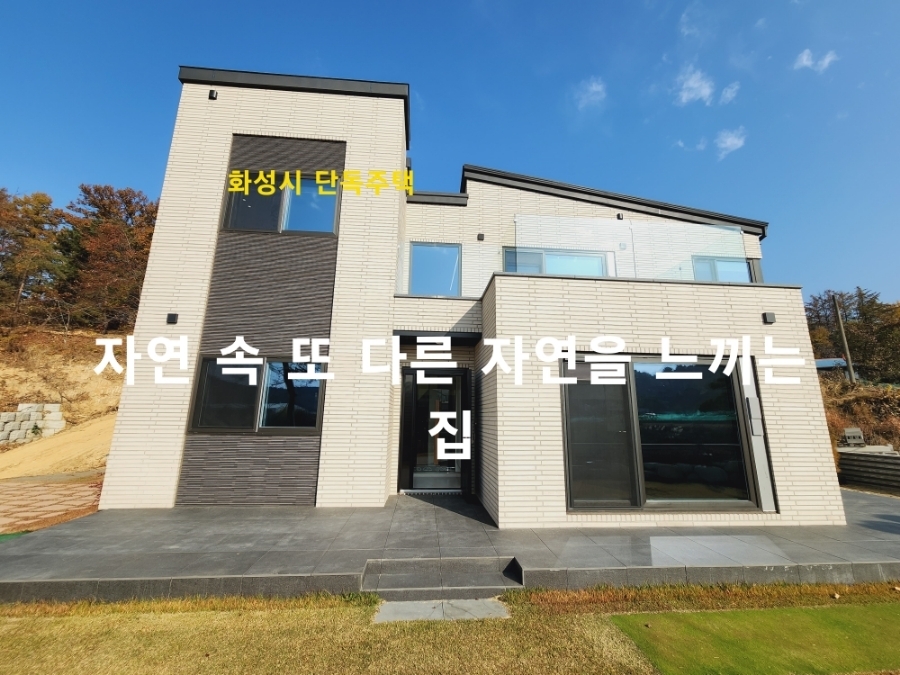 Daum카페