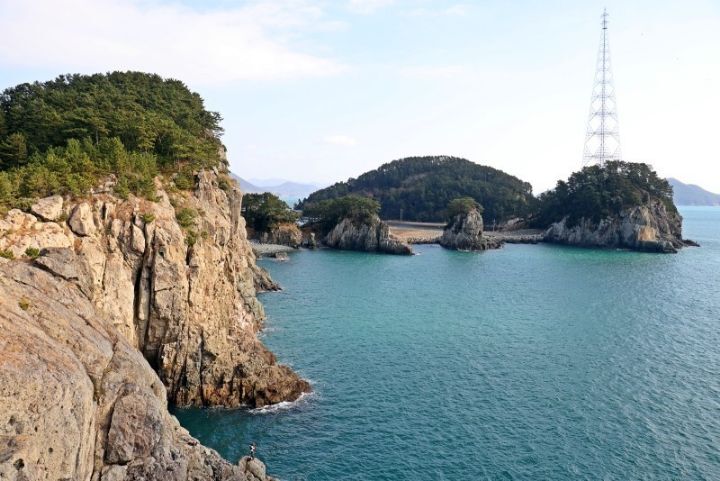 섬고래 이미지