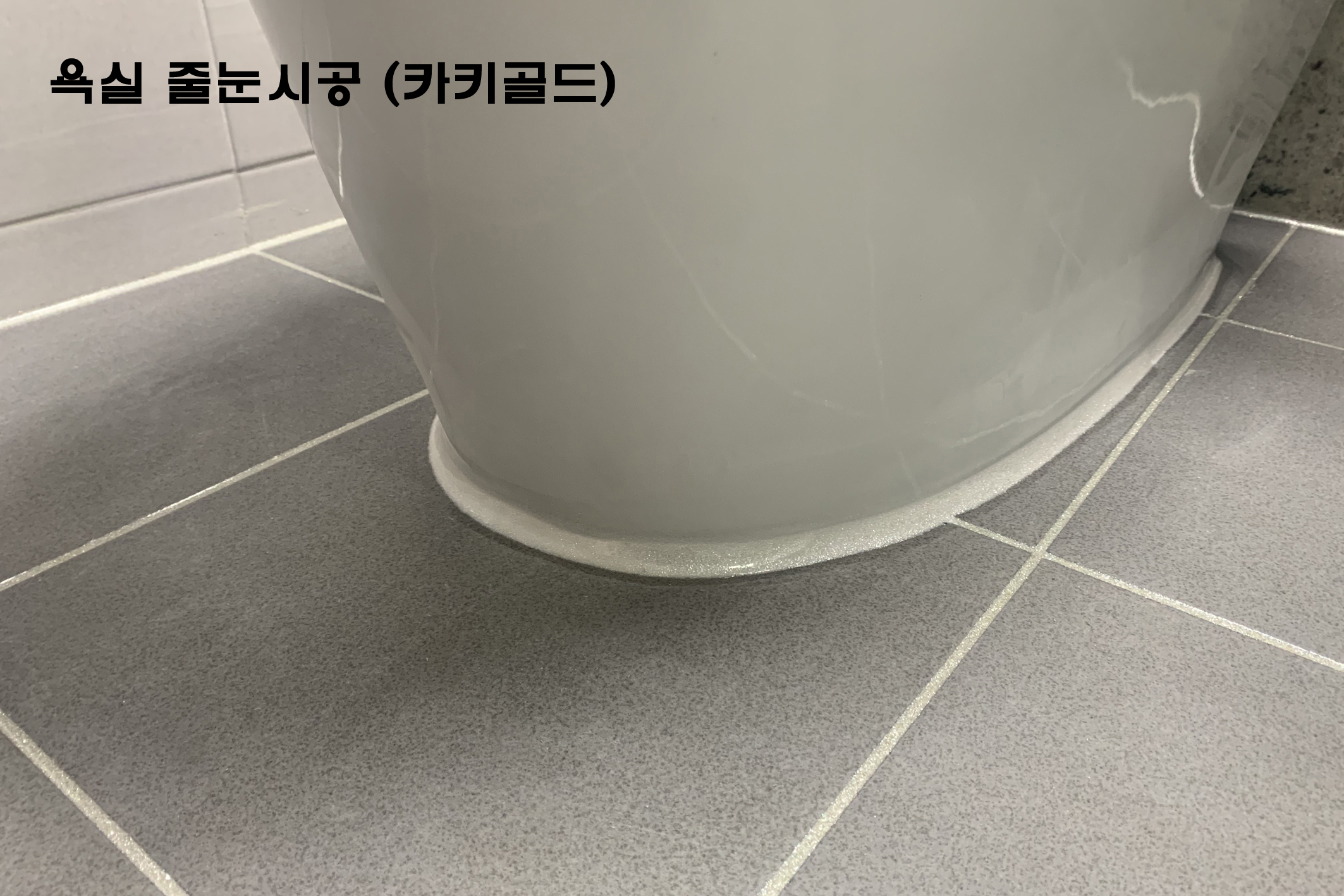 그린홈케어 이미지