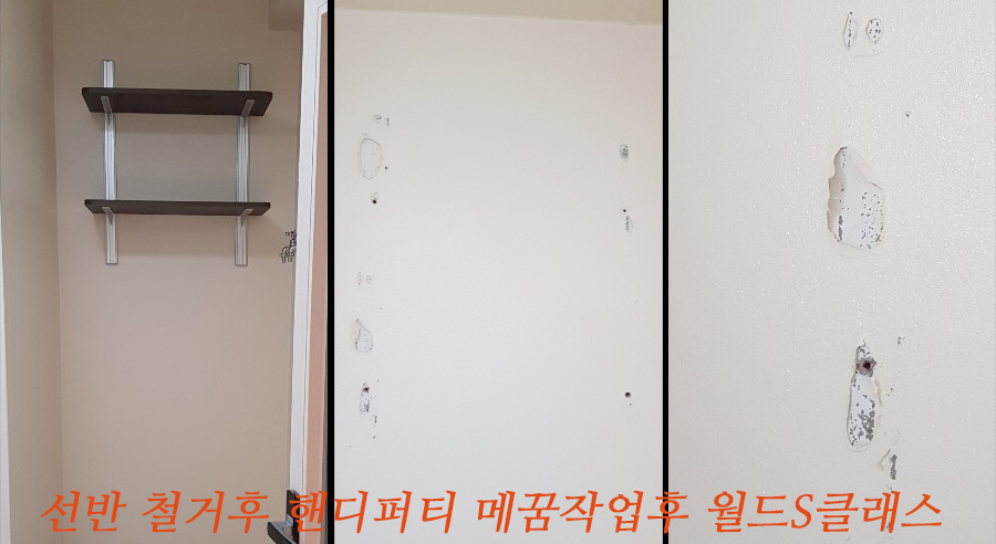 월드탄성 이미지