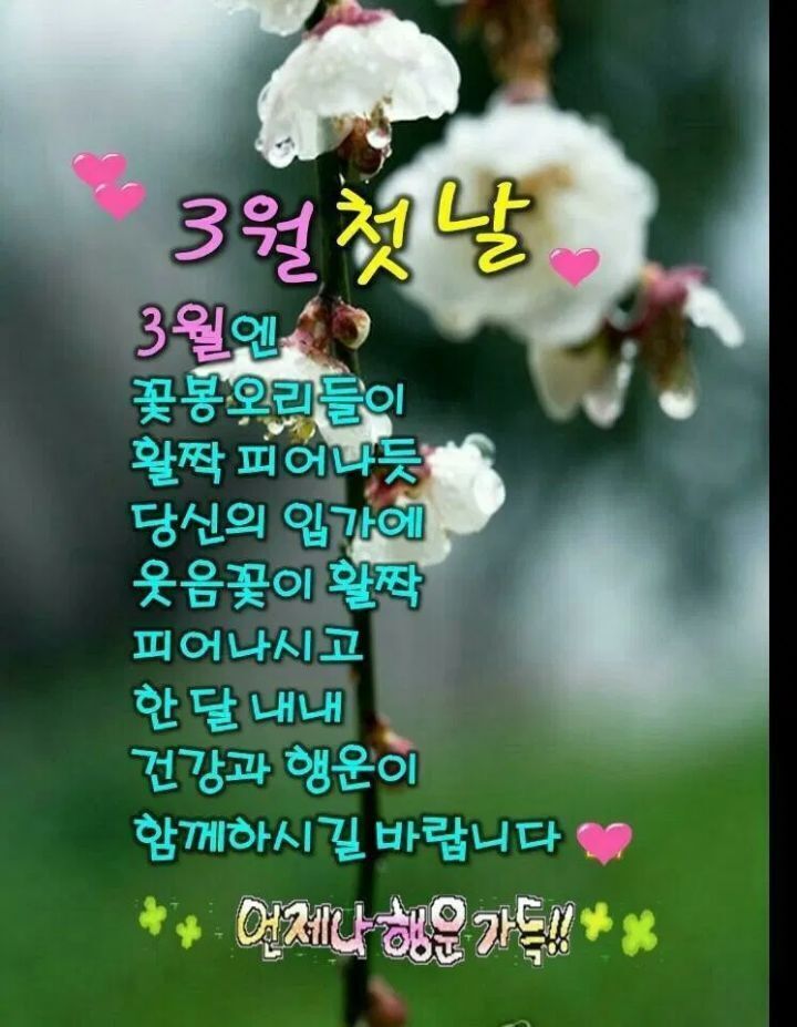 행복한3월 이미지