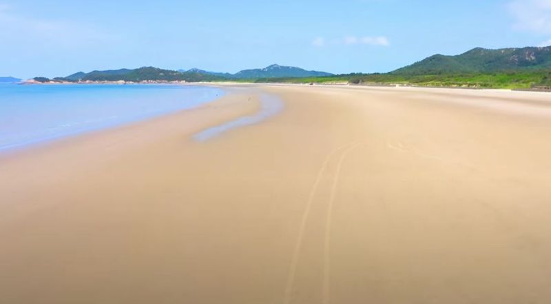 꽃의나라 이미지
