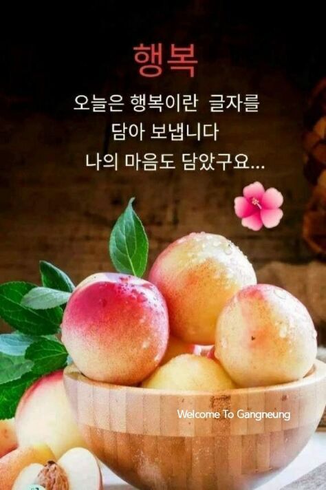 초복삼계탕 이미지