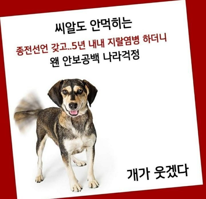 글로벌통신 이미지