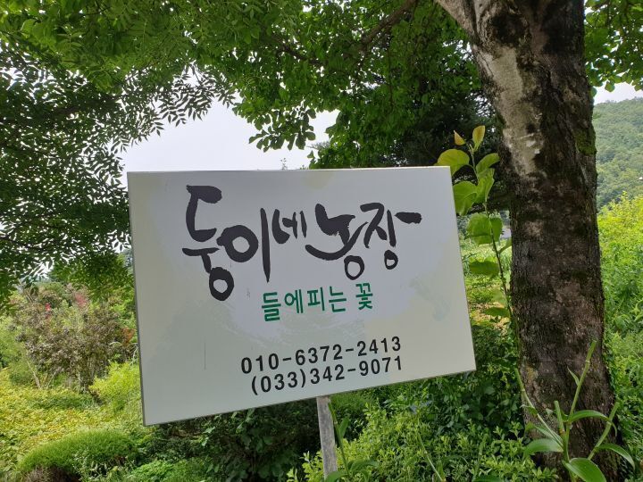 아띠7080 이미지