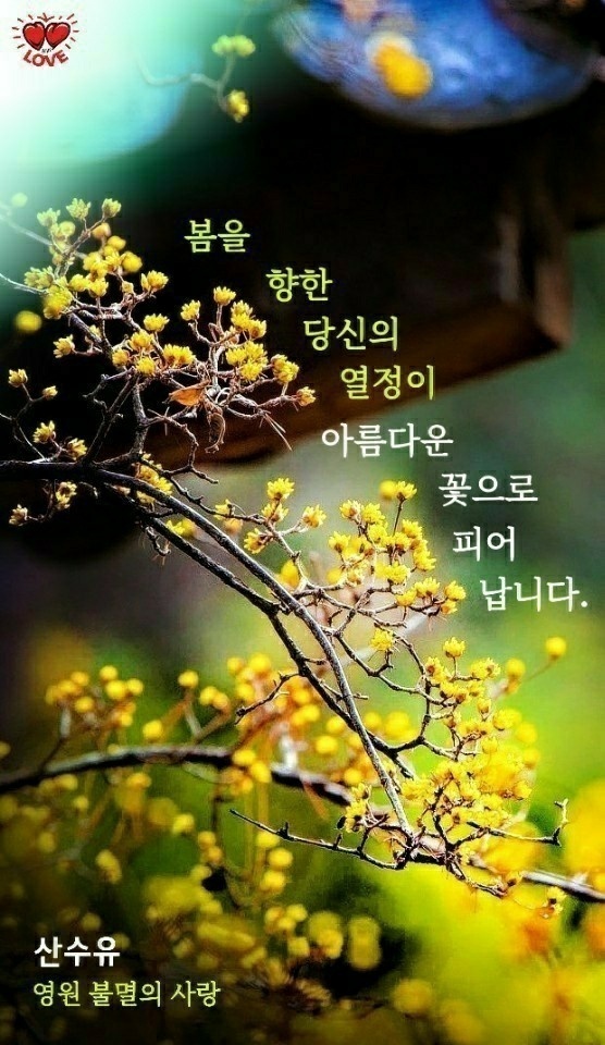 행복한3월 이미지