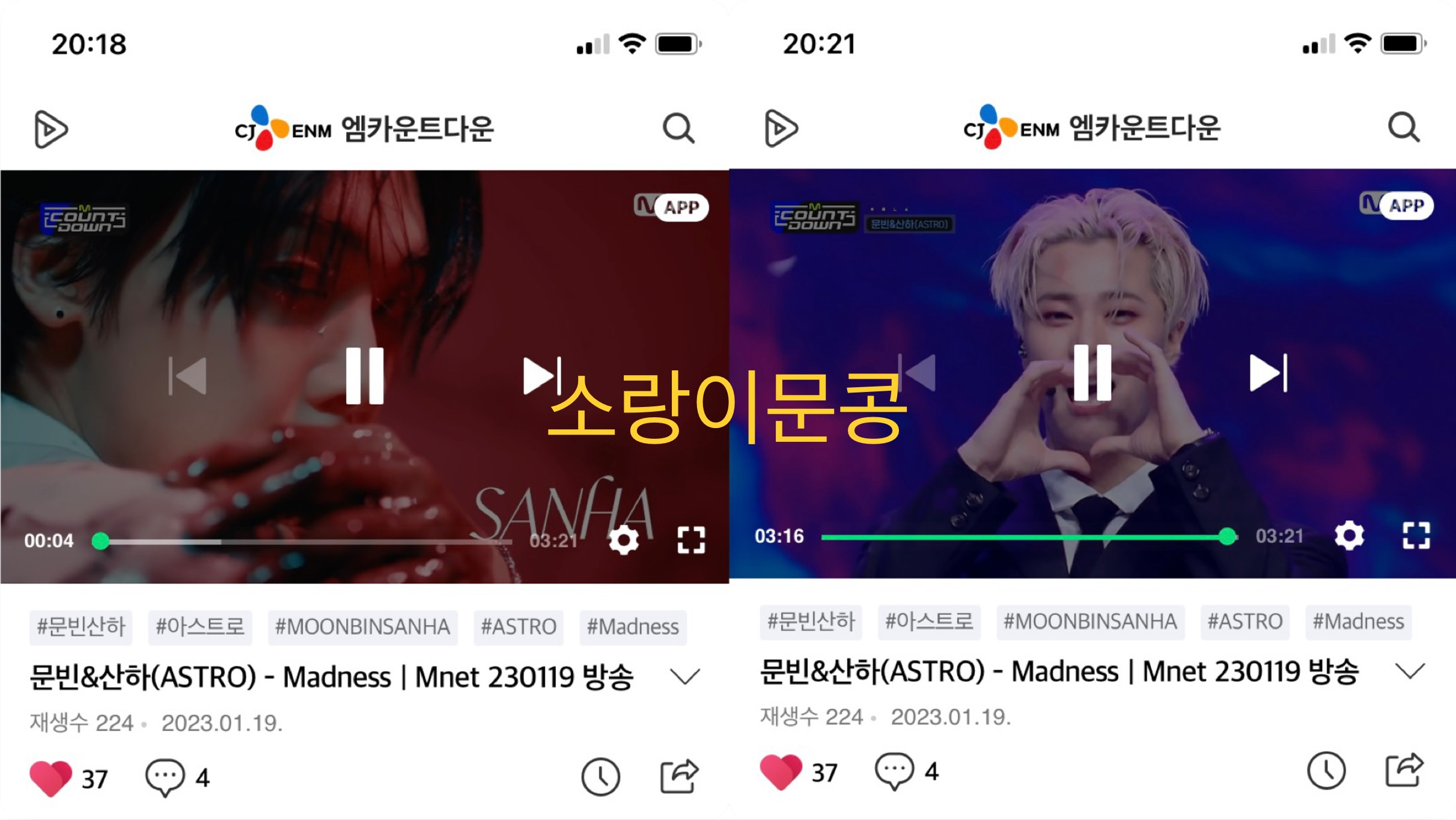 콩모니터링 이미지