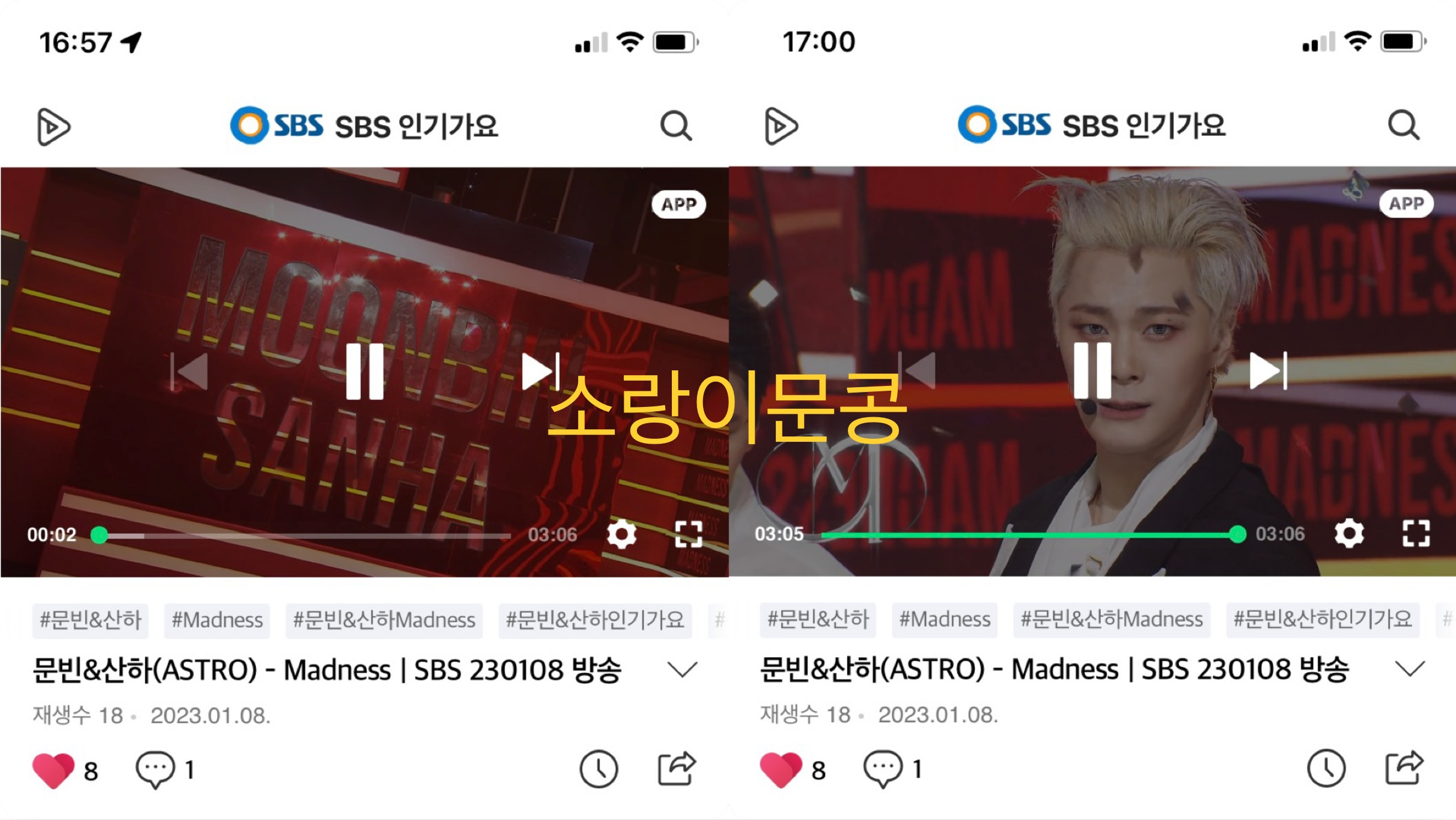 콩모니터링 이미지