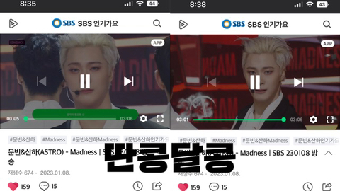 콩모니터링 이미지
