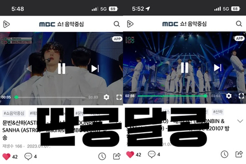 콩모니터링 이미지
