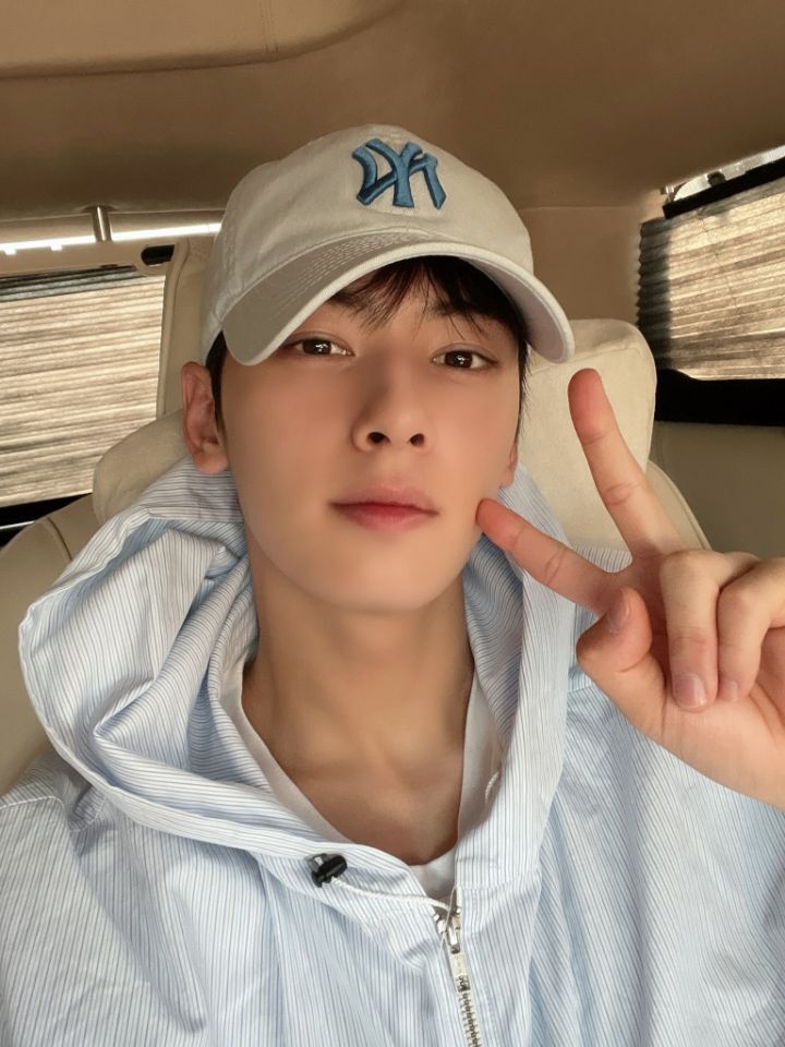 로하 이미지