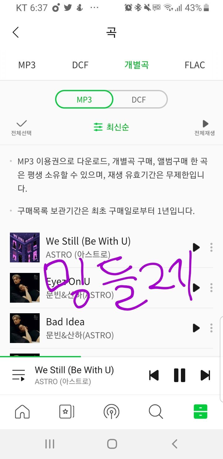 밍들레 이미지