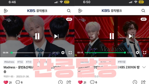 콩모니터링 이미지