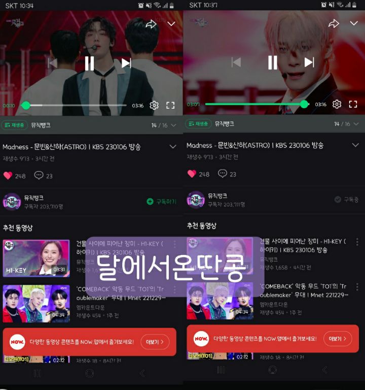 콩모니터링 이미지