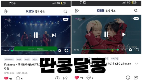 콩모니터링 이미지