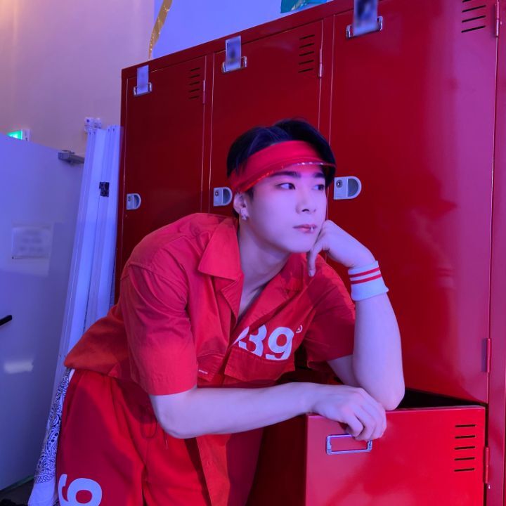 레드빈 이미지