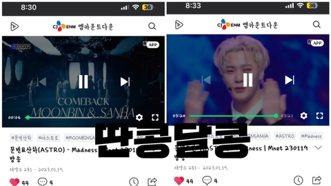콩모니터링 이미지