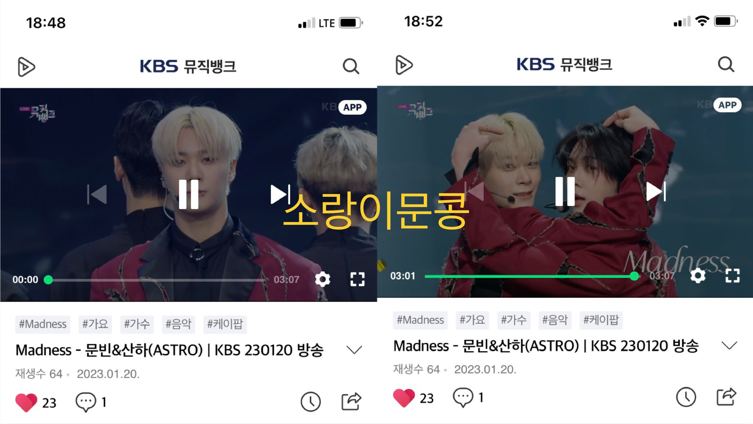 콩모니터링 이미지