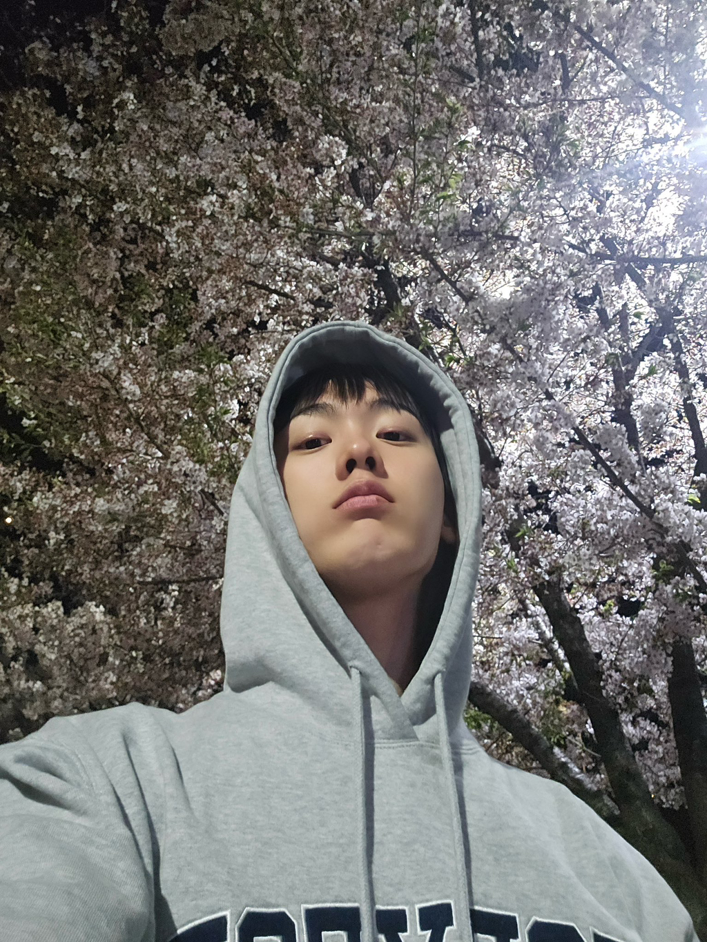 오하 이미지