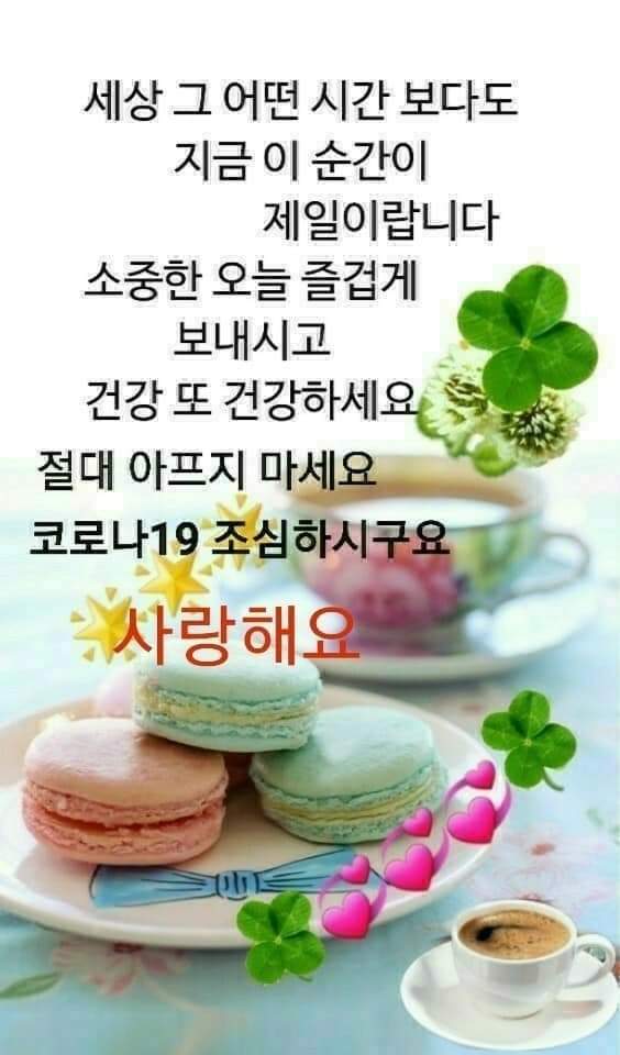 싸이버3 이미지