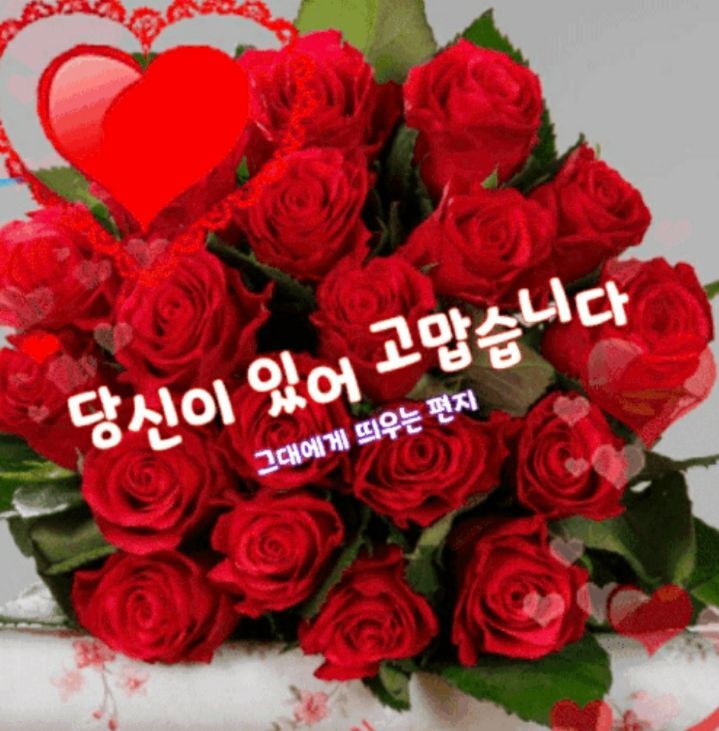 더블클릭을 하시면 이미지를 수정할 수 있습니다