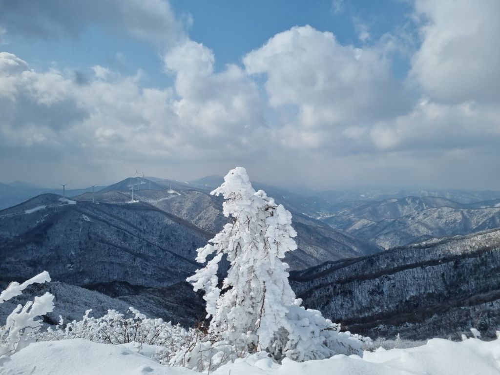 함백산 이미지