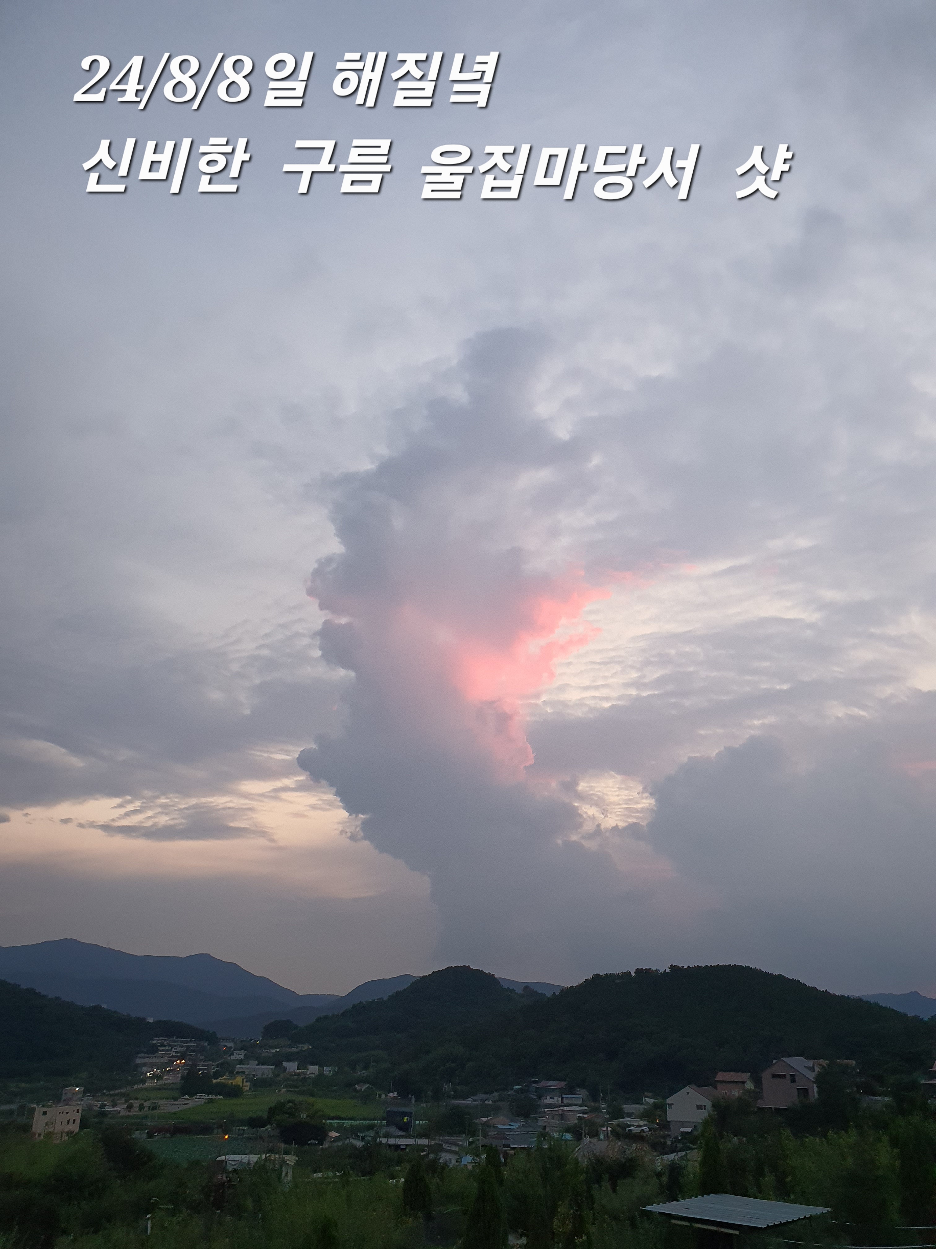 신비해로 이미지