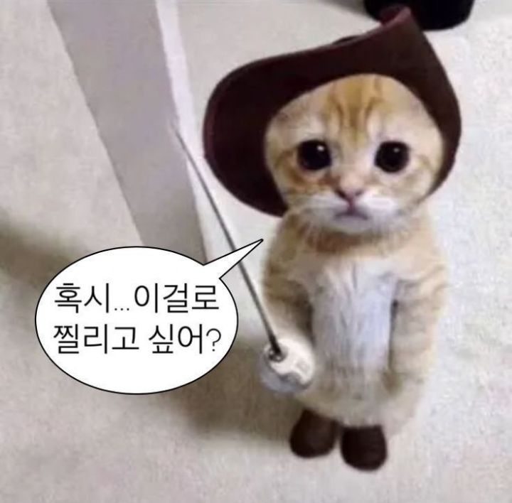 안아 이미지