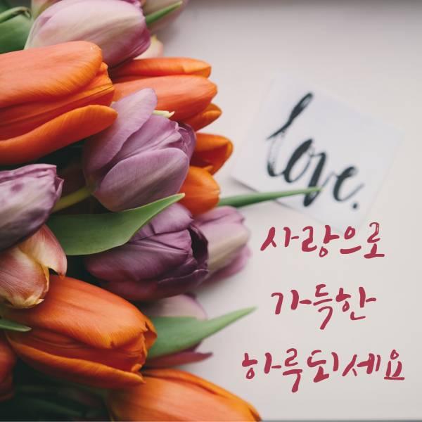 첫번째꽃향기 이미지