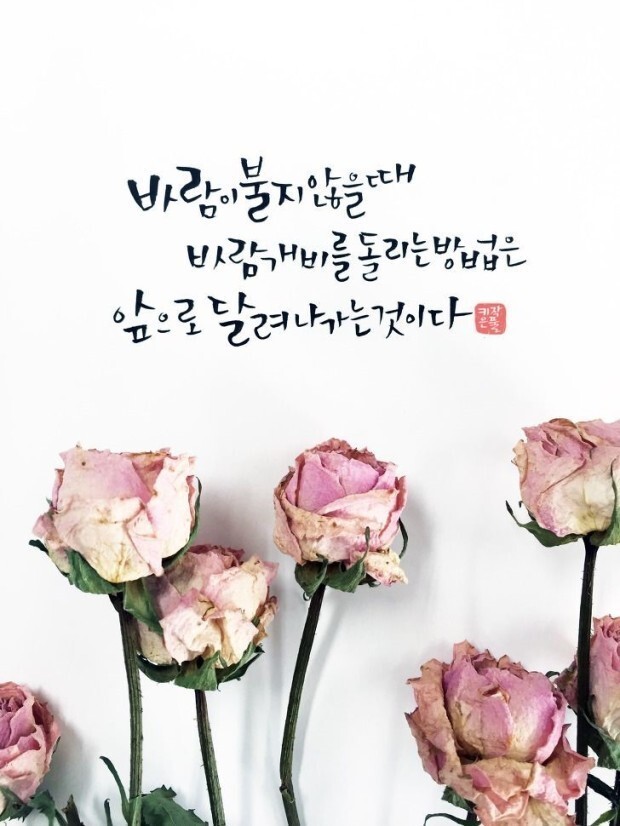 토요일 이미지