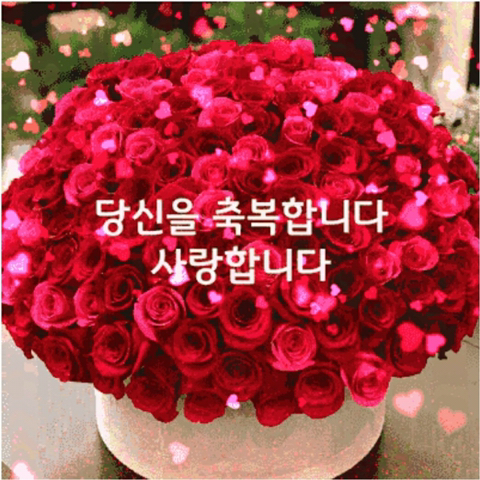 화요일 이미지