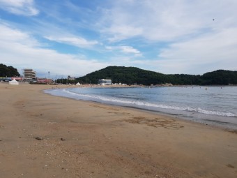 연리지 이미지