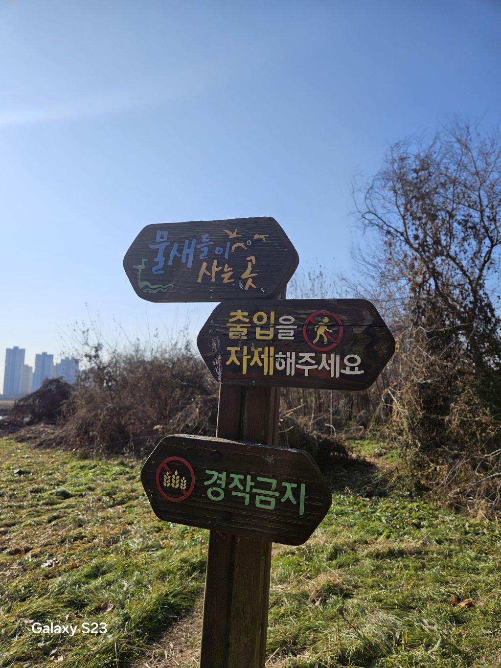 디엠헨 이미지