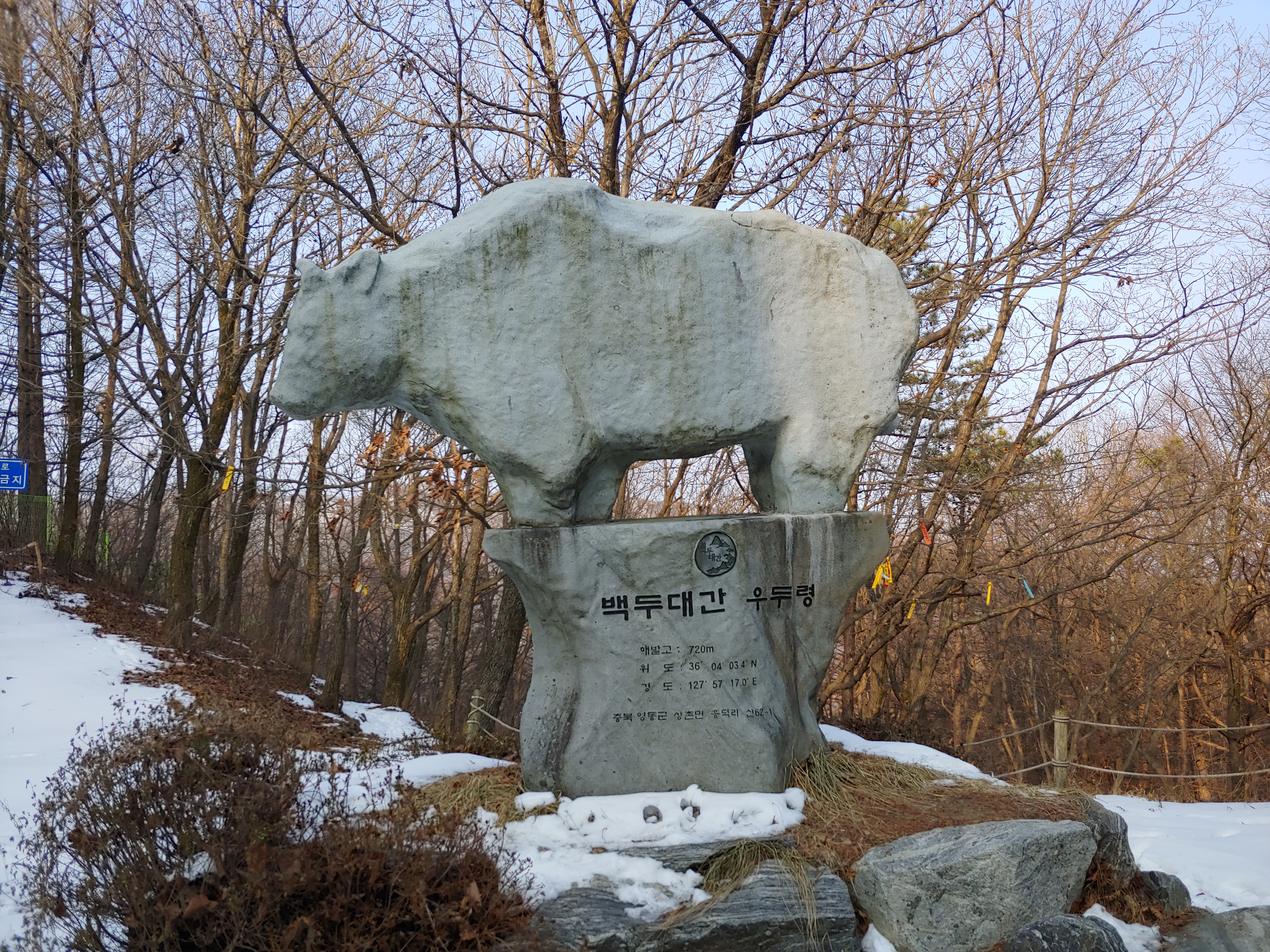 초당 이미지