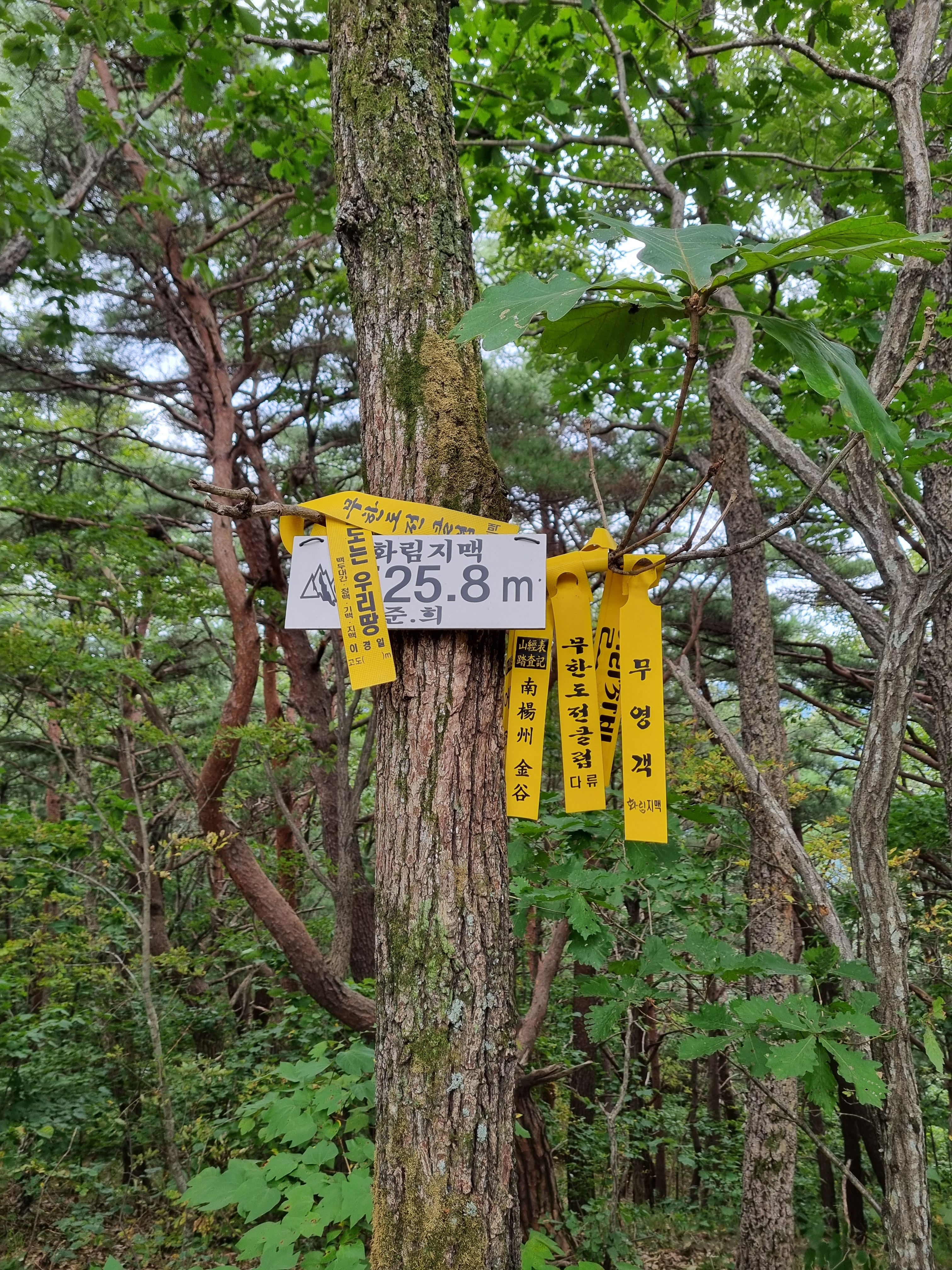 탑통신 이미지