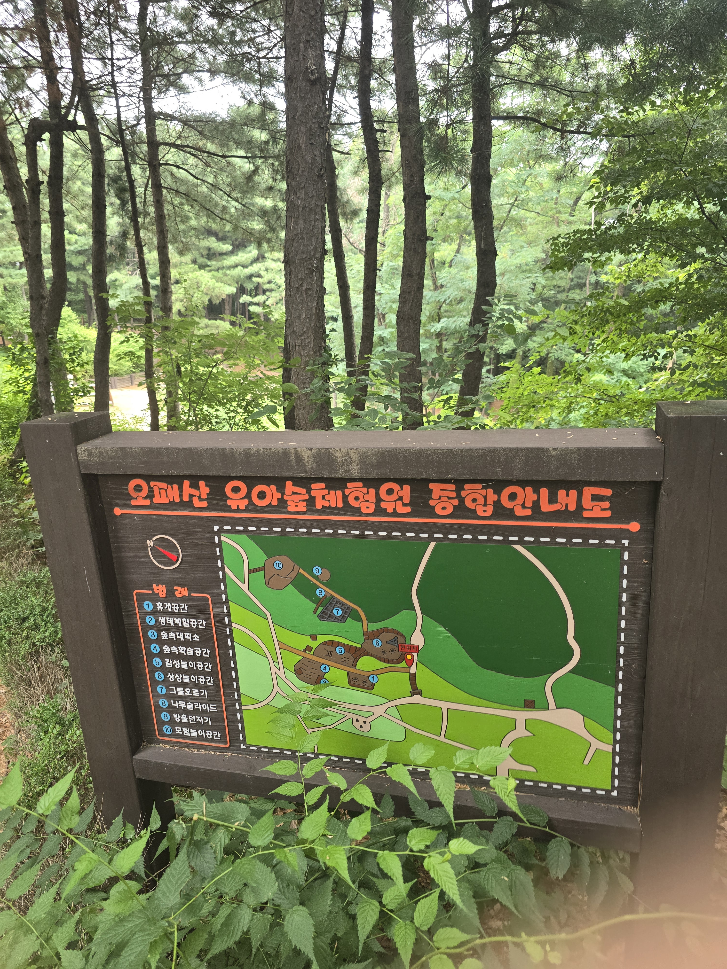 오패산 유아숲체험원 이미지