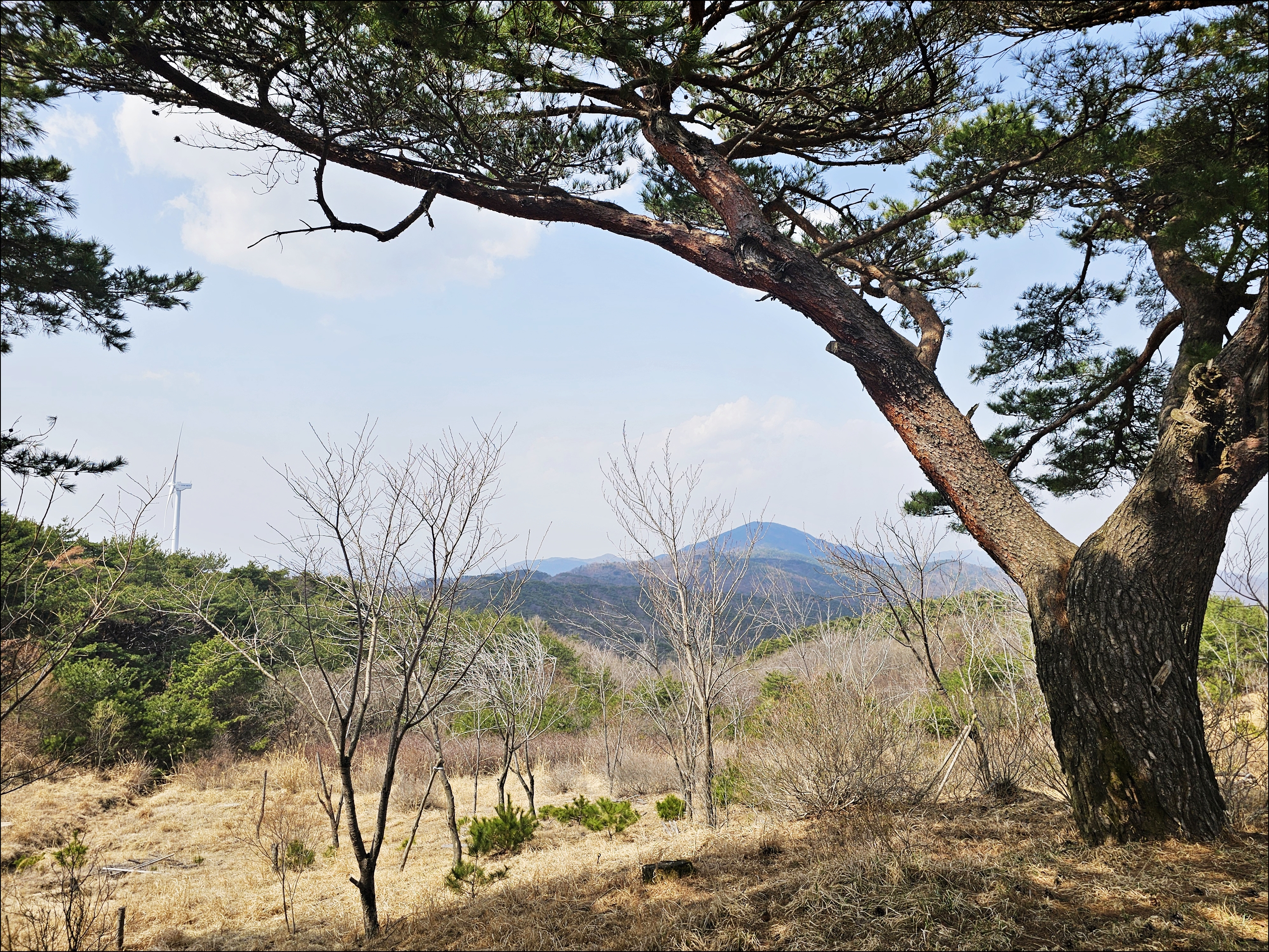 토함산자연휴양림 이미지