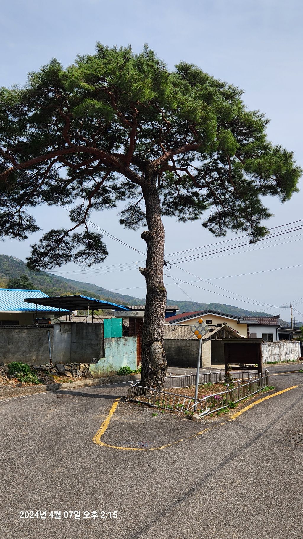 우덕 이미지