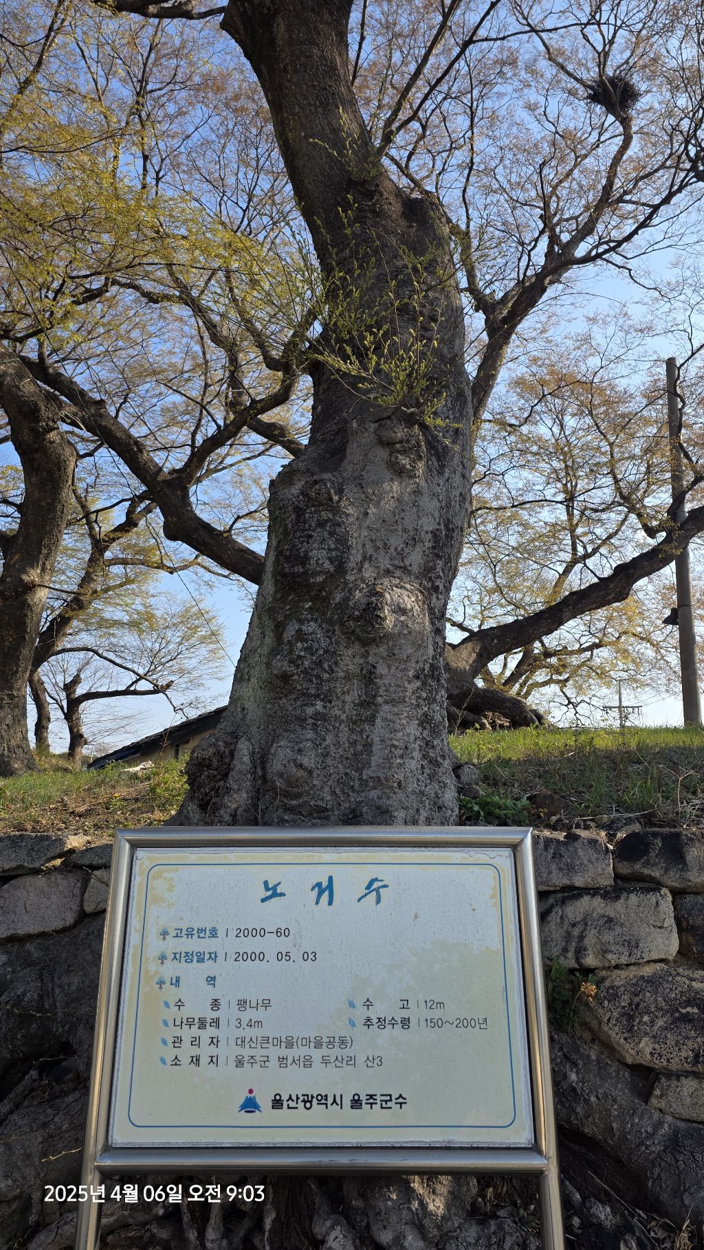 관문성 이미지