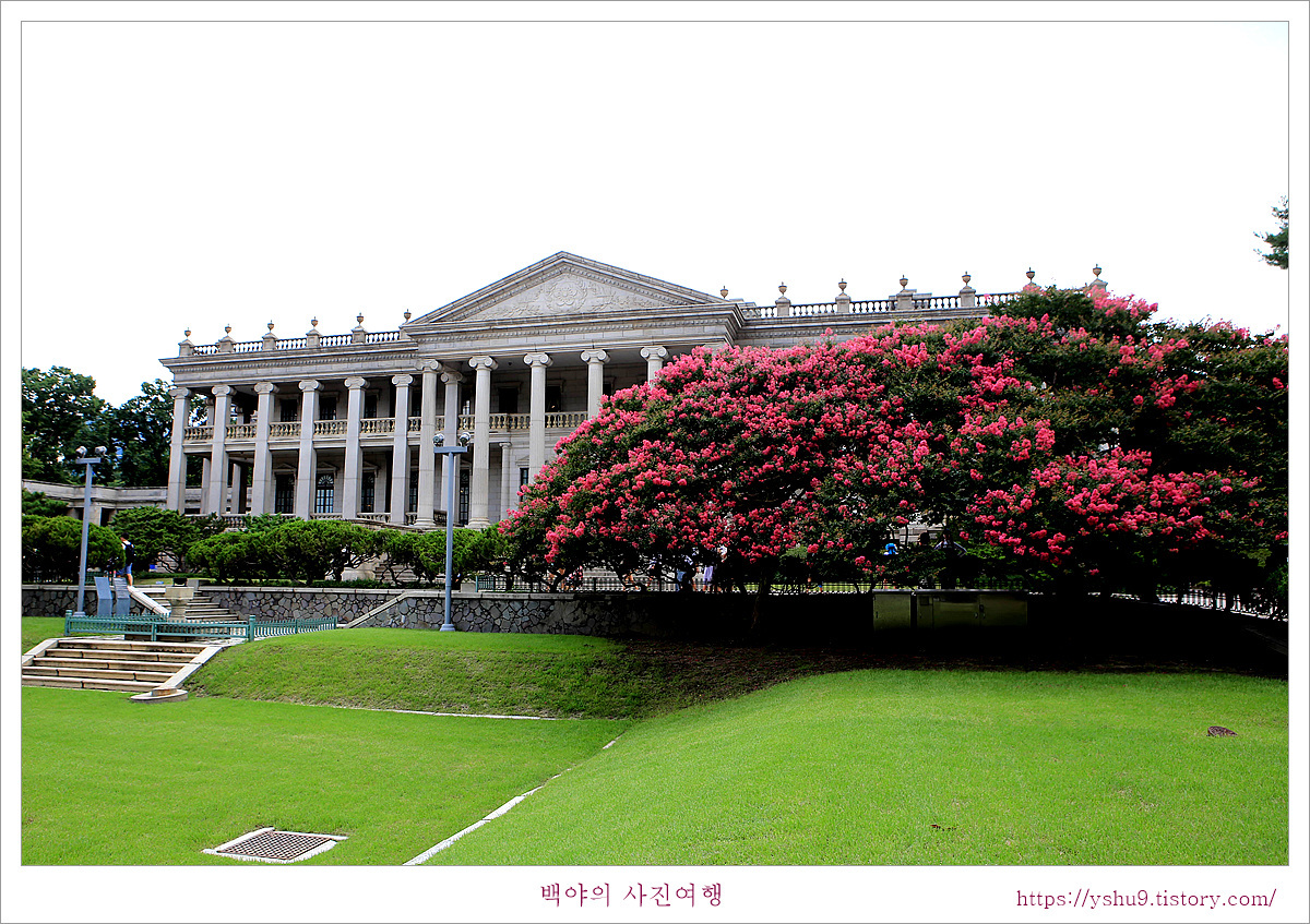 혜늘 이미지