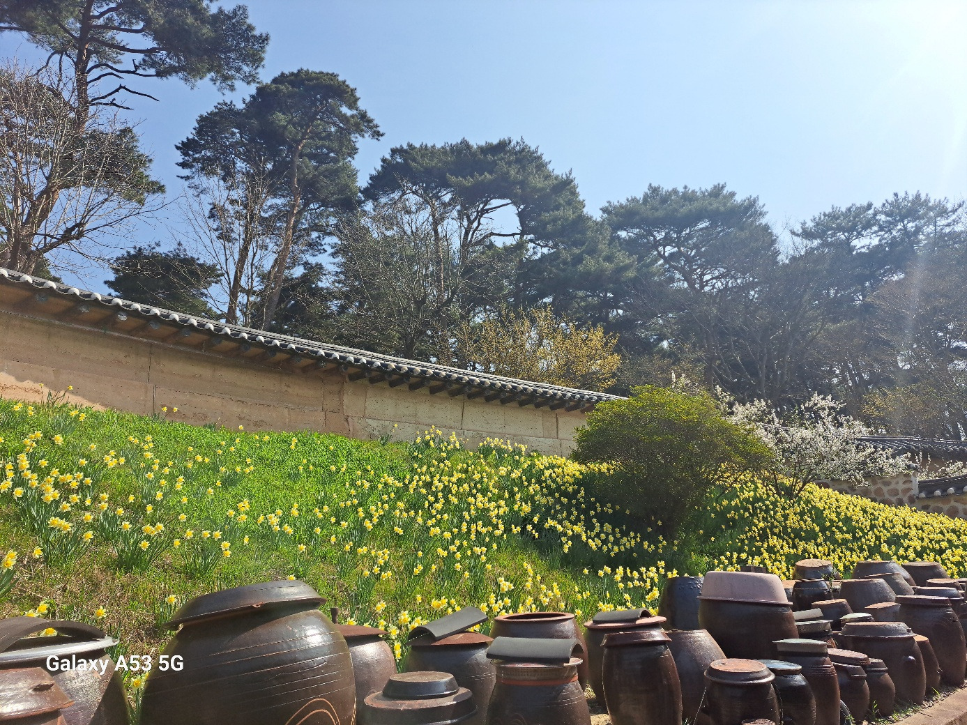 유가방 이미지
