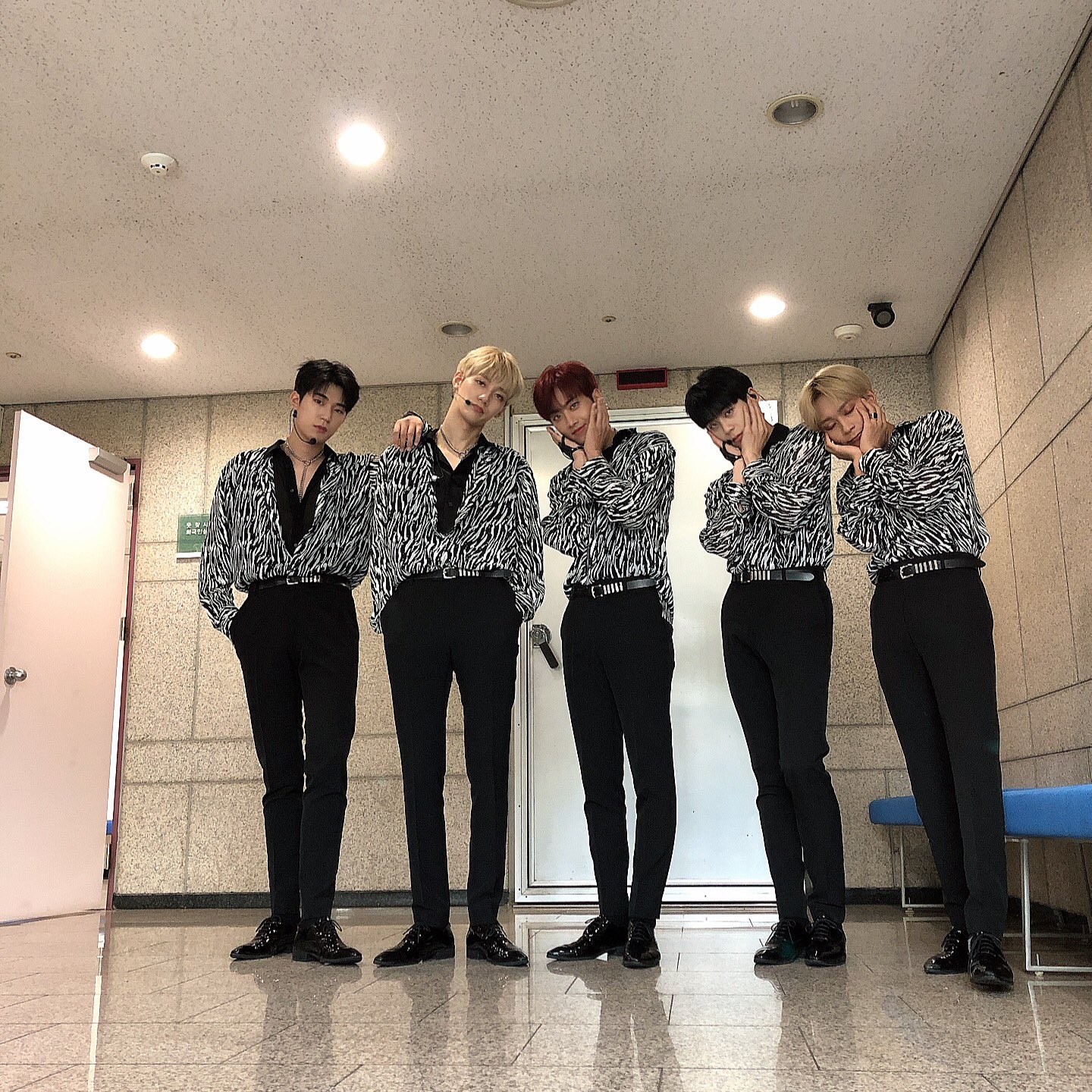 도배 이미지