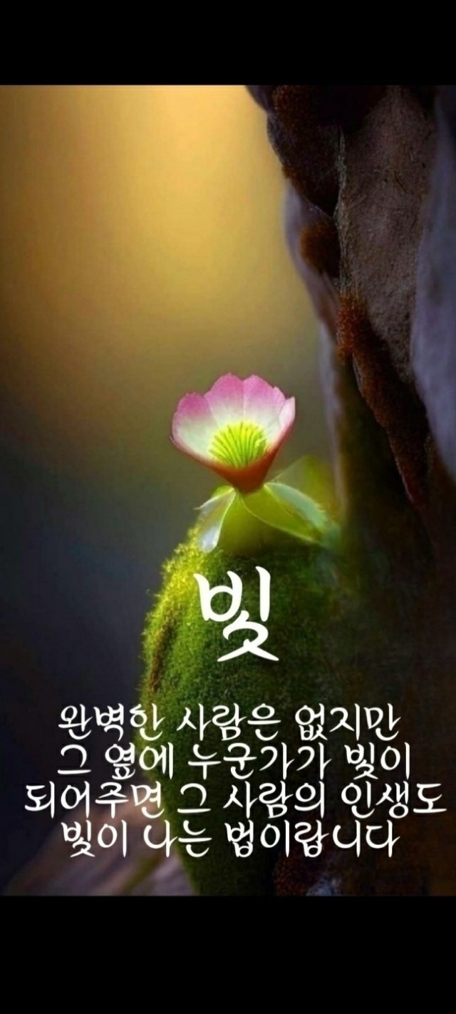 연이가 이미지